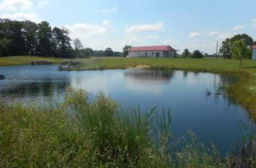 Rural Iuka home on 75 acres