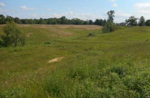 Rural Iuka home on 75 acres