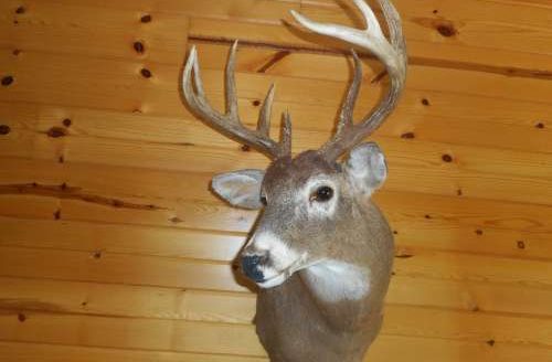 Rural Iuka home on 75 acres