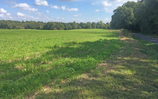 Jefferson County – 51.27 Acres Tillable & Wooded *SOLD 5/1/2019*