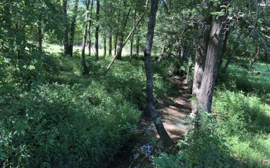 Beautiful Country Home and Buildings on 12.6 Acres *SOLD 6-2-2023*