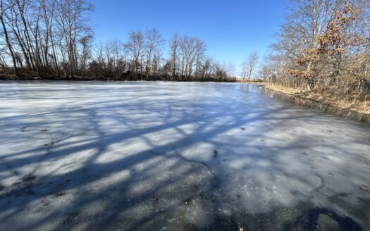 Wayne County – 157 Acres Quality Farmland With Excellent Hunting *NEW LISTING*