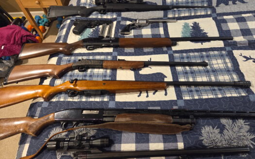 PUBLIC AUCTION SAT., MARCH 21 @ 11:00AM – 4 WHEELERS, FIREARMS, TOOLS, AUCTION – SOLD