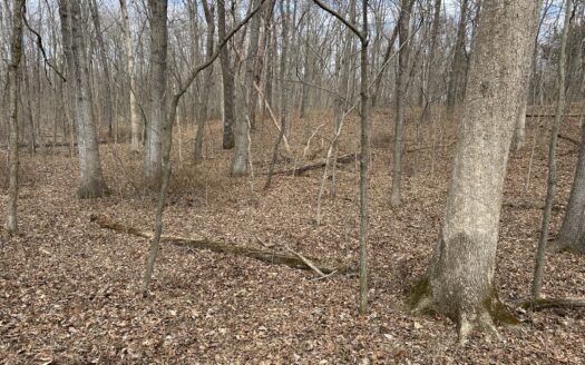 Wayne County – 80 Acres Quality Farmland & Excellent Hunting *NEW LISTING*