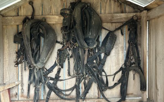 PUBLIC AUCTION SAT., MARCH 28 @ 11:00AM – WELL KEPT TRUCK, TRACTOR WITH LOADER, FIREARMS, TOOL, ESTATE AUCTION – SOLD