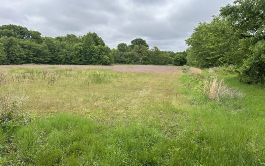 Clay County – 40 Acres Outstanding Hunting & Recreation Farm *SALE PENDING*