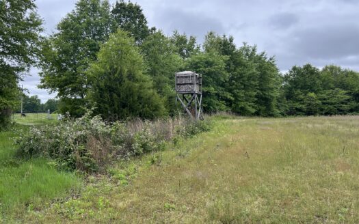 Clay County – 40 Acres Outstanding Hunting & Recreation Farm *SALE PENDING*