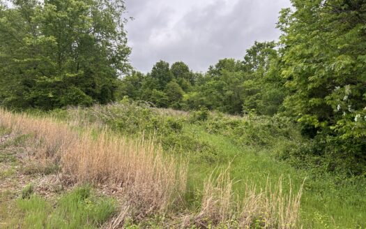 Clay County – 40 Acres Outstanding Hunting & Recreation Farm *SALE PENDING*