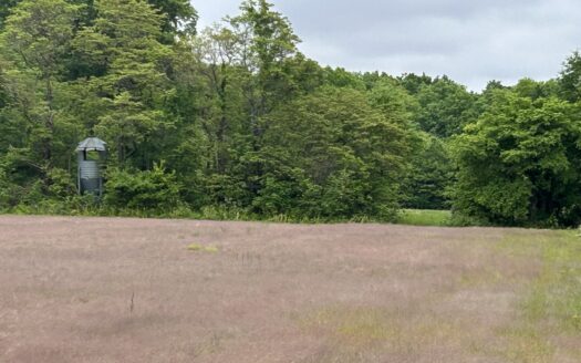 Clay County – 40 Acres Outstanding Hunting & Recreation Farm *SALE PENDING*