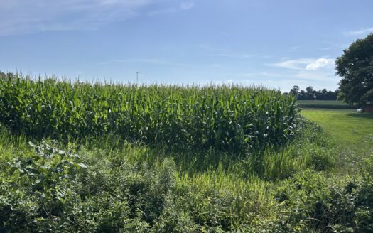 WAYNE COUNTY – 55 ACRES HIGHLY TILLABLE QUALITY FARMLAND & OUTSTANDING HOMESITES *SALE PENDING*