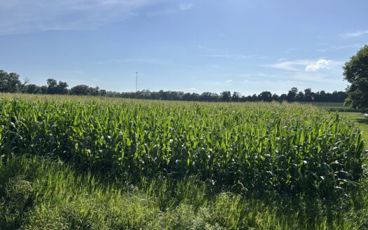 WAYNE COUNTY – 55 ACRES HIGHLY TILLABLE QUALITY FARMLAND & OUTSTANDING HOMESITES *SALE PENDING*