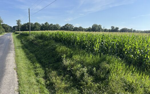 WAYNE COUNTY – 55 ACRES HIGHLY TILLABLE QUALITY FARMLAND & OUTSTANDING HOMESITES *SALE PENDING*