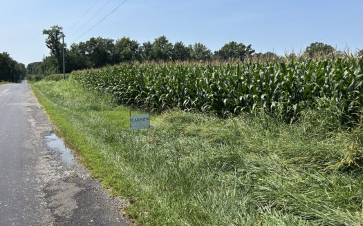 WAYNE COUNTY – 55 ACRES HIGHLY TILLABLE QUALITY FARMLAND & OUTSTANDING HOMESITES *SALE PENDING*
