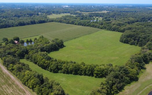 WAYNE COUNTY – 55 ACRES HIGHLY TILLABLE QUALITY FARMLAND & OUTSTANDING HOMESITES *SALE PENDING*