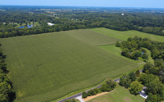 WAYNE COUNTY – 55 ACRES HIGHLY TILLABLE QUALITY FARMLAND & OUTSTANDING HOMESITES *SALE PENDING*