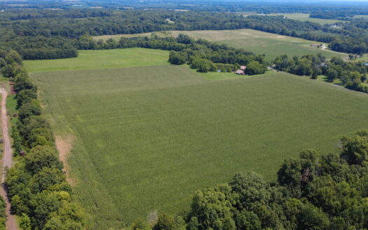 WAYNE COUNTY – 55 ACRES HIGHLY TILLABLE QUALITY FARMLAND & OUTSTANDING HOMESITES *SALE PENDING*
