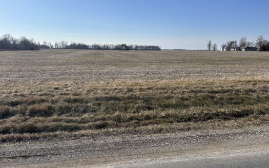 Wayne County – 50.26 Acres Nearly 100% Tillable Quality Farmland *NEW LISTING*