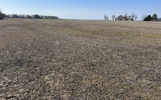 Wayne County – 50.26 Acres Nearly 100% Tillable Quality Farmland *NEW LISTING*