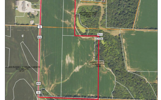 Wayne County – 50.26 Acres Nearly 100% Tillable Quality Farmland *NEW LISTING*