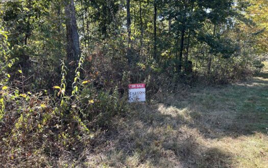 Clay County – 10 Acres Secluded Wooded Hunting Tract *NEW LISTING*