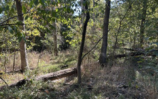Clay County – 10 Acres Secluded Wooded Hunting Tract *NEW LISTING*