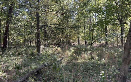 Clay County – 10 Acres Secluded Wooded Hunting Tract *NEW LISTING*