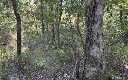 Clay County – 10 Acres Secluded Wooded Hunting Tract *NEW LISTING*