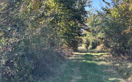 Clay County – 10 Acres Secluded Wooded Hunting Tract *NEW LISTING*