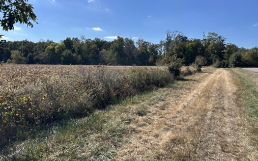 Clay County – 10 Acres Secluded Wooded Hunting Tract *NEW LISTING*