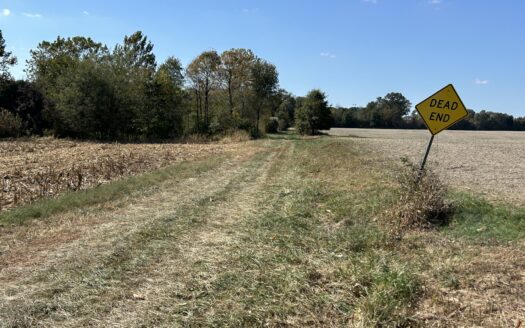 Clay County – 10 Acres Secluded Wooded Hunting Tract *NEW LISTING*