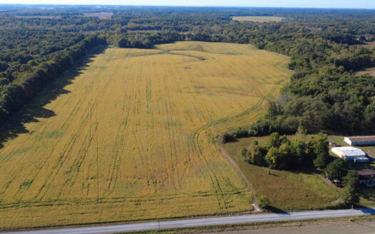998 ACRES – HIGHLY PRODUCTIVE FARM & HUNTING LAND AUCTION – THURS., NOV. 12, 2026 @ 10PM – WAYNE & MARION COUNTY, IL