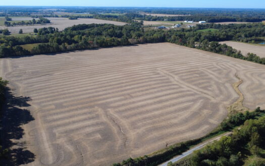 998 ACRES – HIGHLY PRODUCTIVE FARM & HUNTING LAND AUCTION – THURS., NOV. 12, 2026 @ 10PM – WAYNE & MARION COUNTY, IL