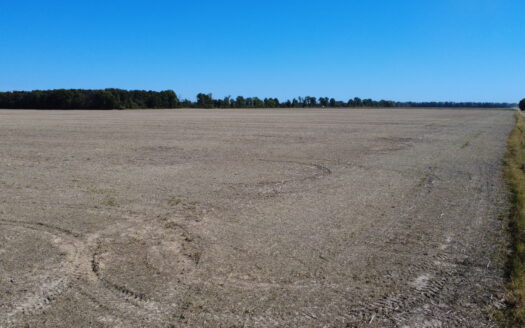 998 ACRES – HIGHLY PRODUCTIVE FARM & HUNTING LAND AUCTION – THURS., NOV. 12, 2026 @ 10PM – WAYNE & MARION COUNTY, IL