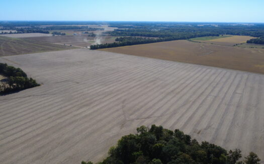998 ACRES – HIGHLY PRODUCTIVE FARM & HUNTING LAND AUCTION – THURS., NOV. 12, 2026 @ 10PM – WAYNE & MARION COUNTY, IL