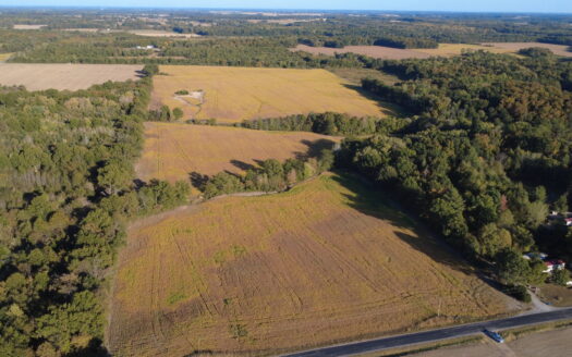 998 ACRES – HIGHLY PRODUCTIVE FARM & HUNTING LAND AUCTION – THURS., NOV. 12, 2026 @ 10PM – WAYNE & MARION COUNTY, IL