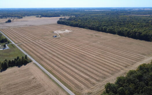 998 ACRES – HIGHLY PRODUCTIVE FARM & HUNTING LAND AUCTION – THURS., NOV. 12, 2026 @ 10PM – WAYNE & MARION COUNTY, IL
