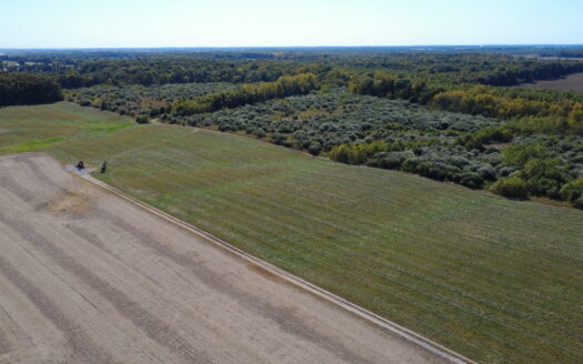 998 ACRES – HIGHLY PRODUCTIVE FARM & HUNTING LAND AUCTION – THURS., NOV. 12, 2026 @ 10PM – WAYNE & MARION COUNTY, IL