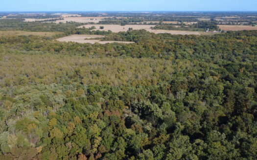 998 ACRES – HIGHLY PRODUCTIVE FARM & HUNTING LAND AUCTION – THURS., NOV. 12, 2026 @ 10PM – WAYNE & MARION COUNTY, IL