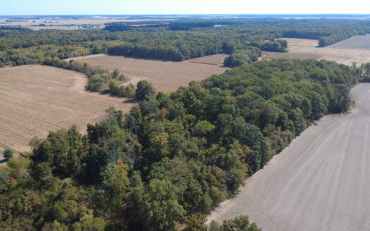 Clay County – 10 Acres Secluded Wooded Hunting Tract *NEW LISTING*