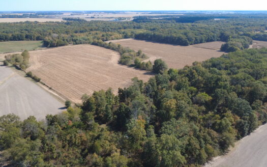 Clay County – 10 Acres Secluded Wooded Hunting Tract *NEW LISTING*