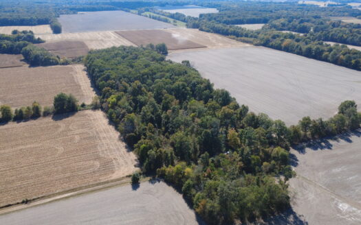 Clay County – 10 Acres Secluded Wooded Hunting Tract *NEW LISTING*