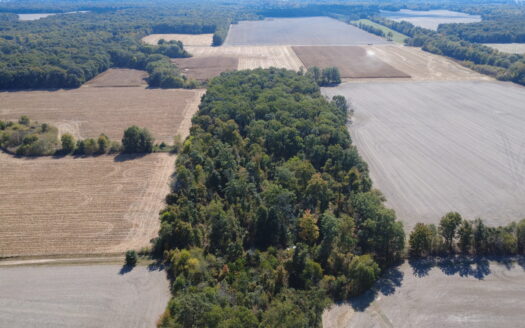 Clay County – 10 Acres Secluded Wooded Hunting Tract *NEW LISTING*